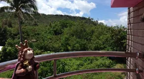 Kenting Mola - Image 5