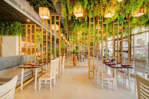 The Pikus Paradise - Image 3