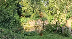 Le Moulin de la Martinière - Image 3