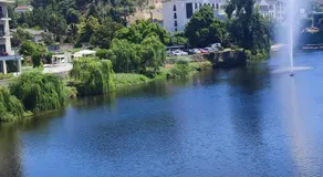 Lavanda Termas de São Pedro do Sul - Image 2
