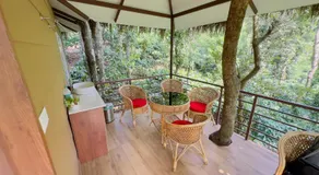 Coffee Cradle Wayanad Luxuorios Private Tree House - Inside 2 Acre Coffee Plantation - Image 5