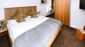 Hotel Alpina - Image 2