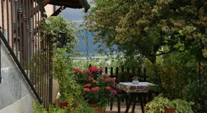 Agriturismo L'Ulivo in Fiore - Image 3