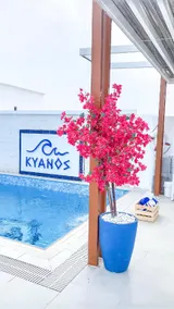 Kyanos - Image 2