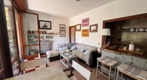 Shell in the rock - Image 4