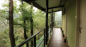 Forest Inn - Image 4