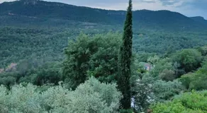 Le Logis de Saint-Antoine - Image 3
