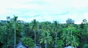 French Garden Regish Beachfront Hotel - Image 4