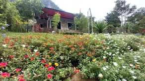 Weerapatchanara - Image 1