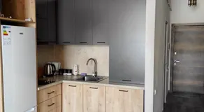 Sunny apartment in Kechi House, Tsaghkadzor - Image 4