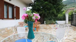 Lemon tree house - Image 5