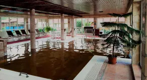 Ligetalja Termál Hotel - Image 3