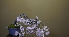 Aoyamadai Bettei - Image 4