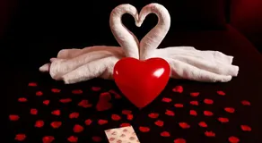 Love Room Les secrets interdits - Image 3