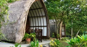 The Papalagi Resort - Image 3