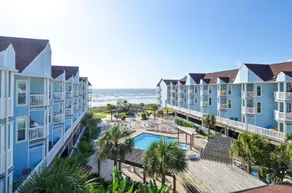 Seascape 1110-Parrot Paradise - Image 3