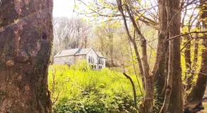 Kingsley Cottage Bed & Breakfast - Image 5