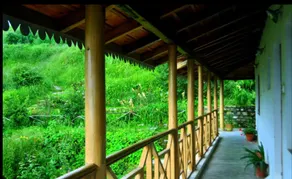 Kafal House - Image 3