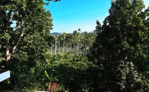 Mistydews homestay wayanad - Image 5
