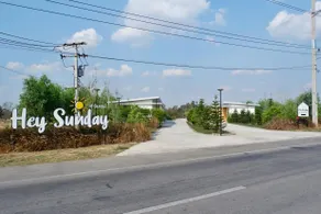 Hey Sunday Home - Image 5