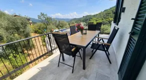 "Blue Villa" with private pool,BBQ in Andora - Image 3