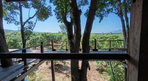 Napahong Treehouse นาป่าฮง - Image 5