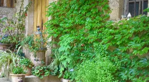 Domaine du Peyron - Image 5