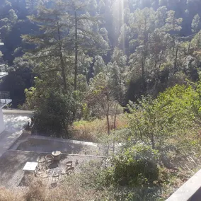 Aagaman Woods - Image 3