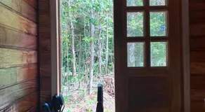 cabana eco roots - Image 3