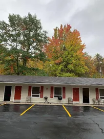 The Pines Motel - Image 5