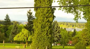 AnnArthur Guest House - Image 5