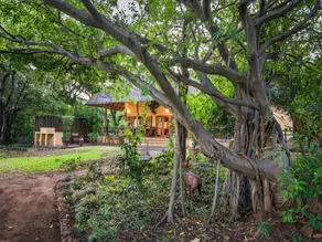 Bush Villas on Kruger - Image 5