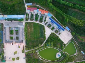 Xinyue Ecological Park - Image 5