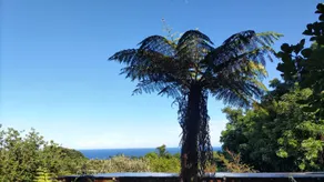 Whole house rental inn Horizon line - Vacation STAY 18087v - Image 3