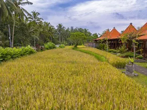 Uma Ulun Dugul Ubud by Dhananjaya Hospitality - Image 3