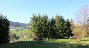 Gîte Les Jonquilles - Image 5