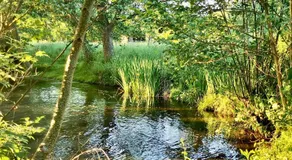 Gîte de l'Ecrin de l'Andelle - Un écrin de nature entre rivière et forêt - Image 4