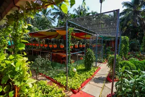 Hotel Failaka - Image 5