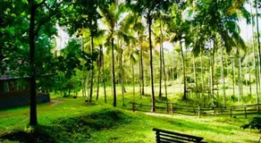 Royal Wooden villa - Image 4