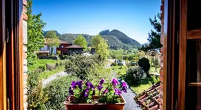 El Búho de la Remolina - Image 3