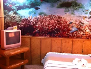 Anahaw Island View Resort - Image 3