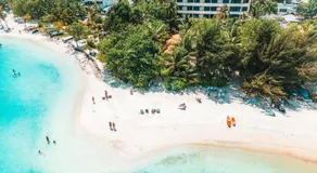 Season Paradise - Image 4