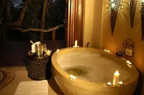Simbambili Game Lodge - Image 5
