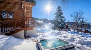 Chalet Joux Verte - OVO Network - Image 2