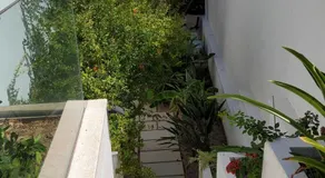 Villa Marjal - Image 4