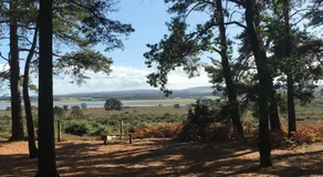 Spurwing Guest House - Image 5
