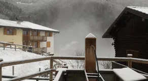 Il Cardo Trentino - Image 4