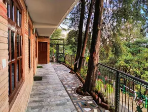 Jakhu Vibes Shimla - Image 4