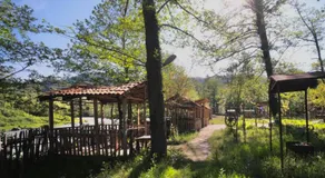 Guesthouse - Family Hotel - Image 4