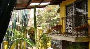 Yellow House Hostel - Image 3